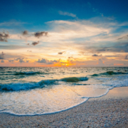 Sun, Seafoam, Shells