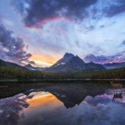 Rocky Mountain Mule Deer Wading in Lake at Sunset