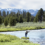 Fly Fishing in a Mountain Stream