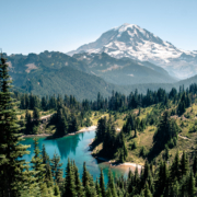 Rainier National Park